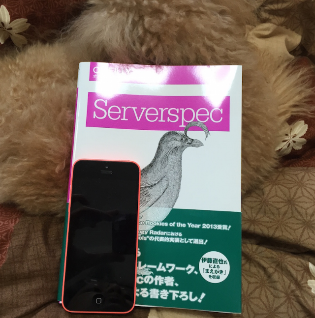 Serverspec the definitive guide